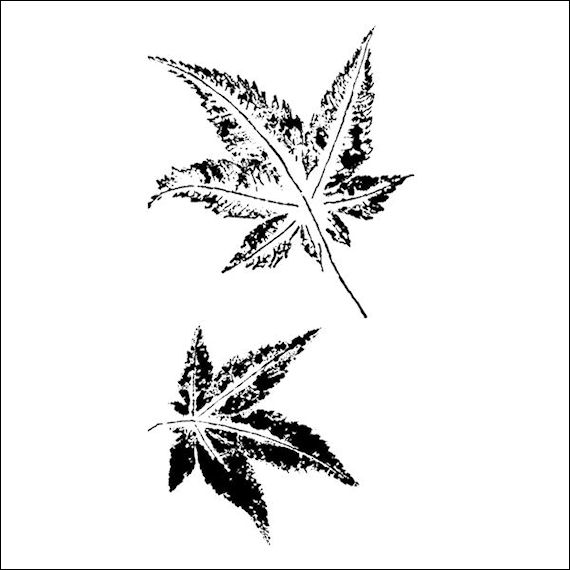 570pxleaf 8