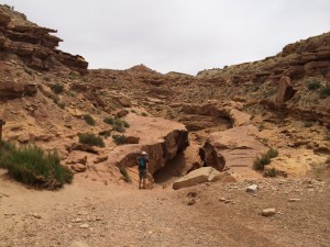 little_wild_horse_canyon1